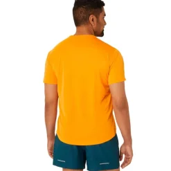 CAMISETA MANGA CORTA ASICS FUJITRAIL LOGO SS TOP 2025