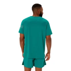 CAMISETA MANGA CORTA ASICS ICON