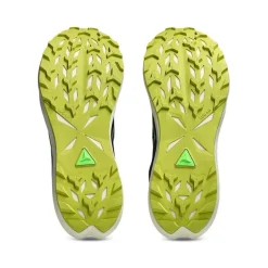 ZAPATILLAS ASICS FUJI LITE 6