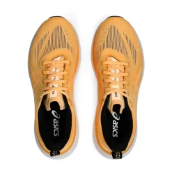 ZAPATILLAS ASICS GLIDERIDE MAX 2