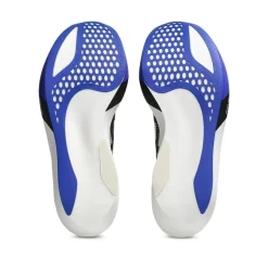 ZAPATILLAS ASICS METASPEED SKY TOKYO