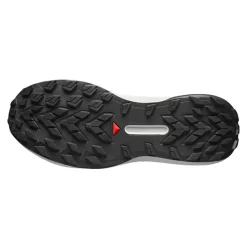 ZAPATILLAS SALOMON GENESIS GTX